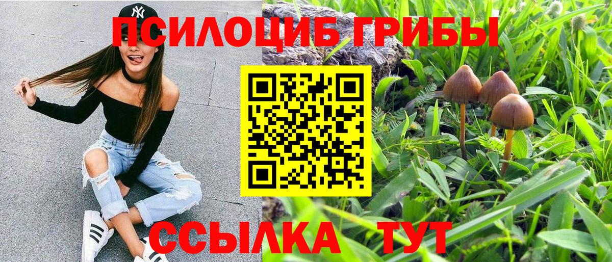 Моршанск  Галлюциногенные грибы GOLDEN TEACHER  Вход с VPN 