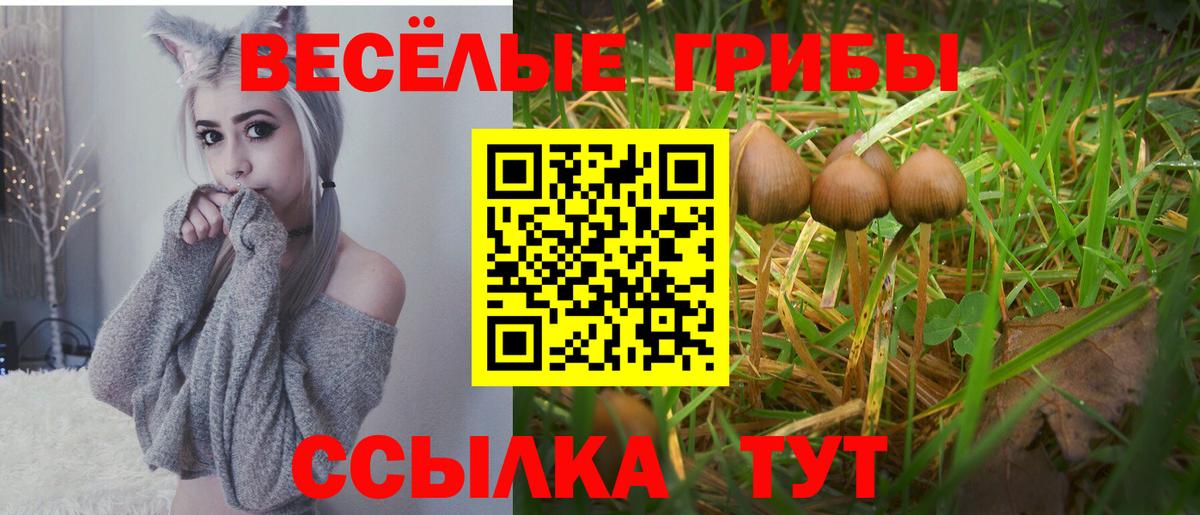 Галлюциногенные грибы мицелий Моршанск